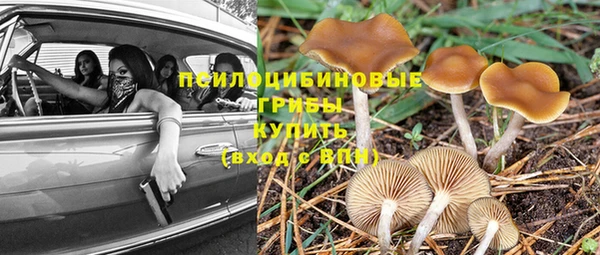 apvp Магас