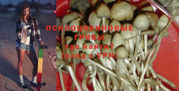 apvp Магас