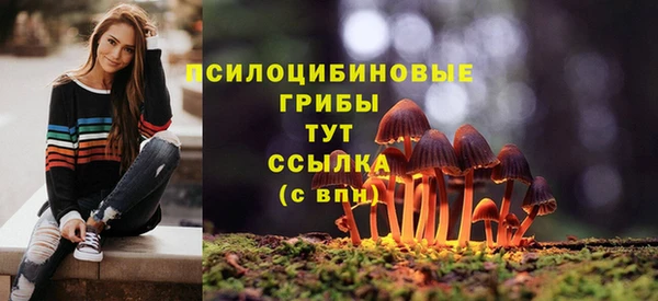 прущий лед Медногорск