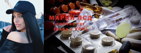 apvp Магас