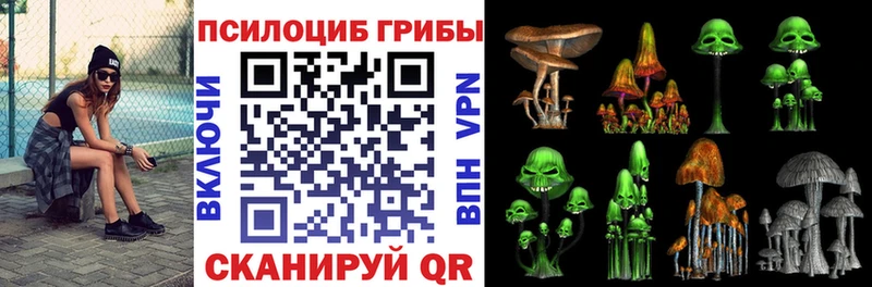 закладка  Оханск  Псилоцибиновые грибы Cubensis 